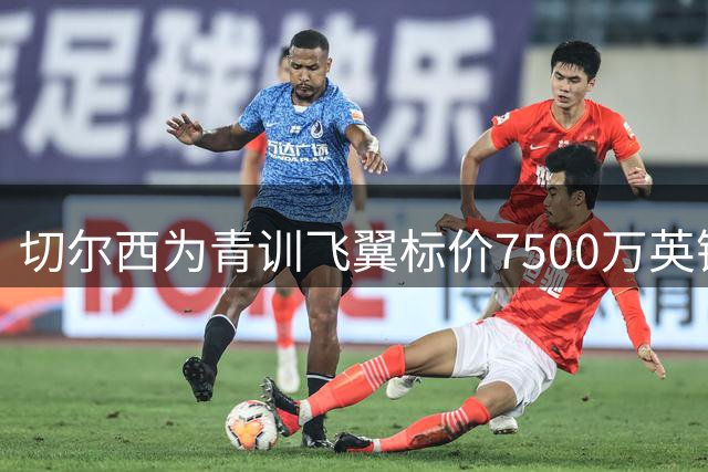 切尔西为青训飞翼标价7500万英镑 法甲豪门观望未出手