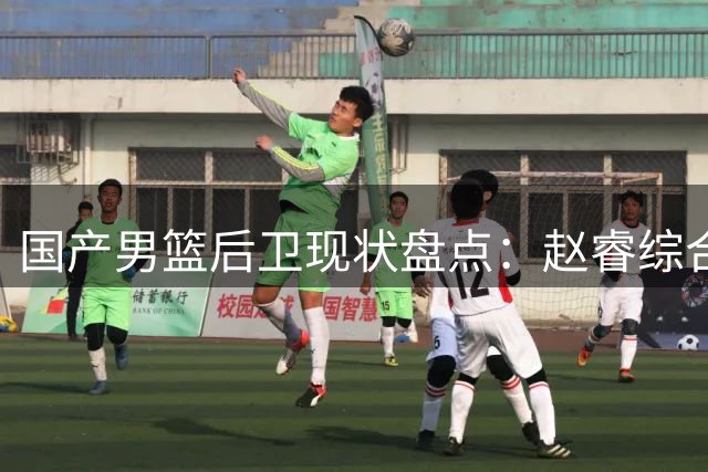 国产男篮后卫现状盘点：赵睿综合实力领跑，新秀评价引争议